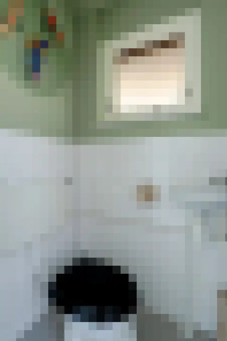 Poldermolen 3 Hoorn thumbnail 20
