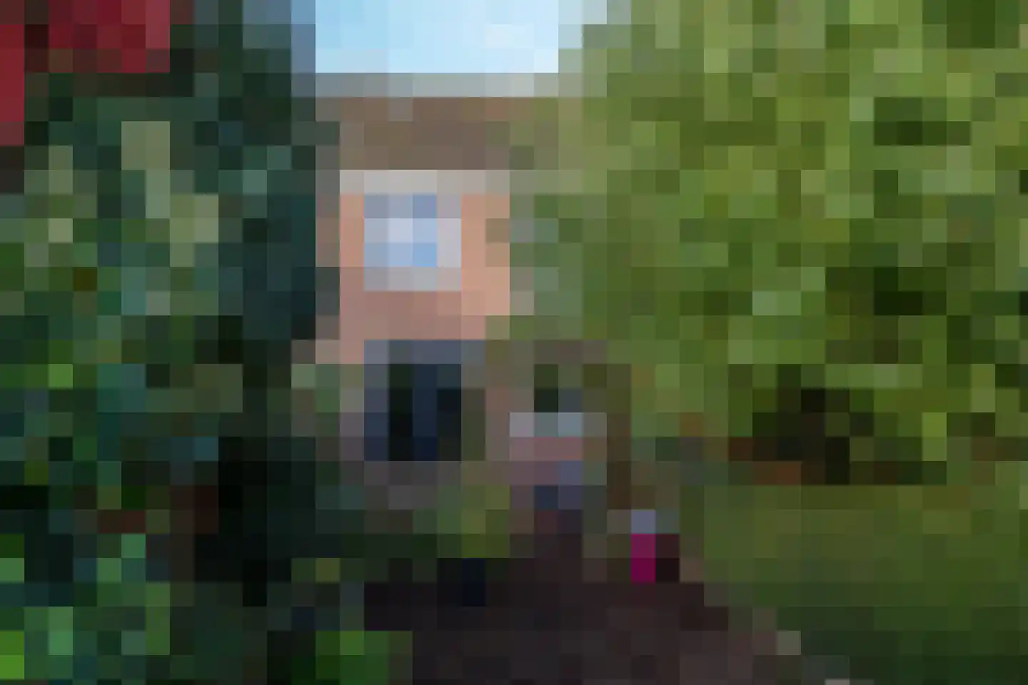 Poldermolen 3 Hoorn thumbnail 23