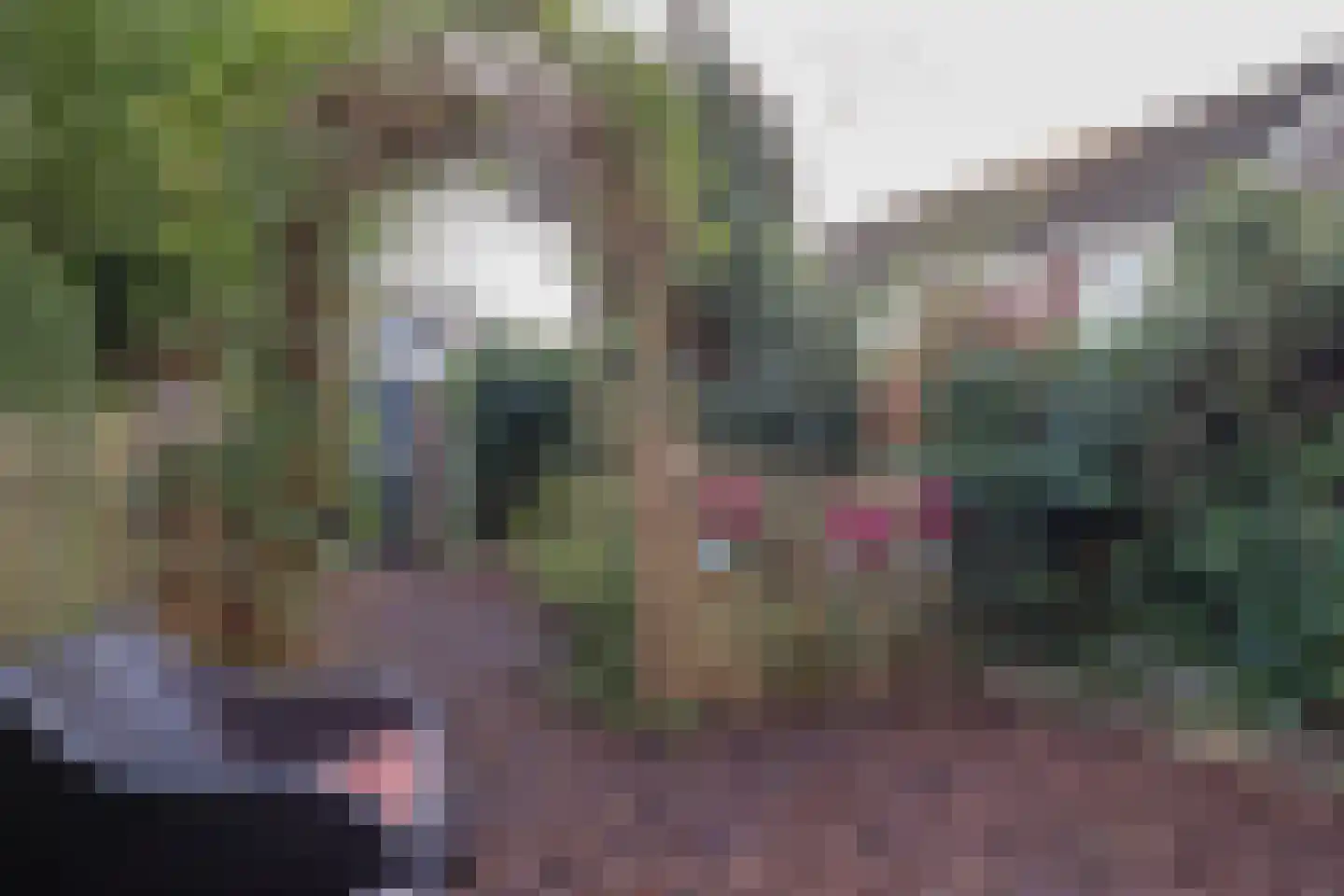 Poldermolen 3 Hoorn thumbnail 25