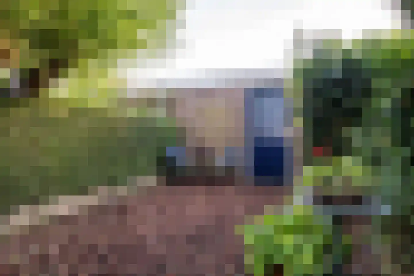 Poldermolen 3 Hoorn thumbnail 27