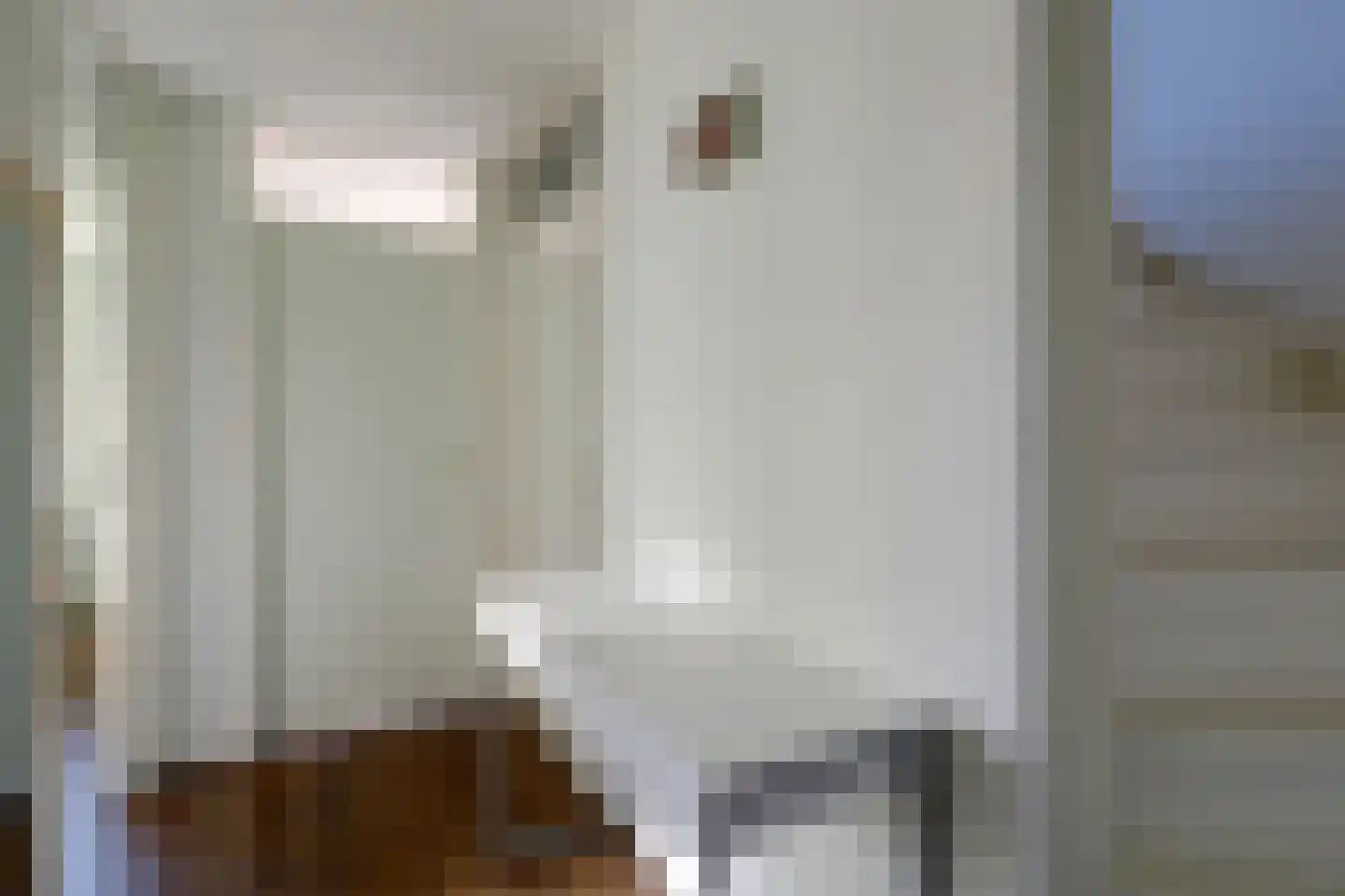 Poldermolen 3 Hoorn thumbnail 30