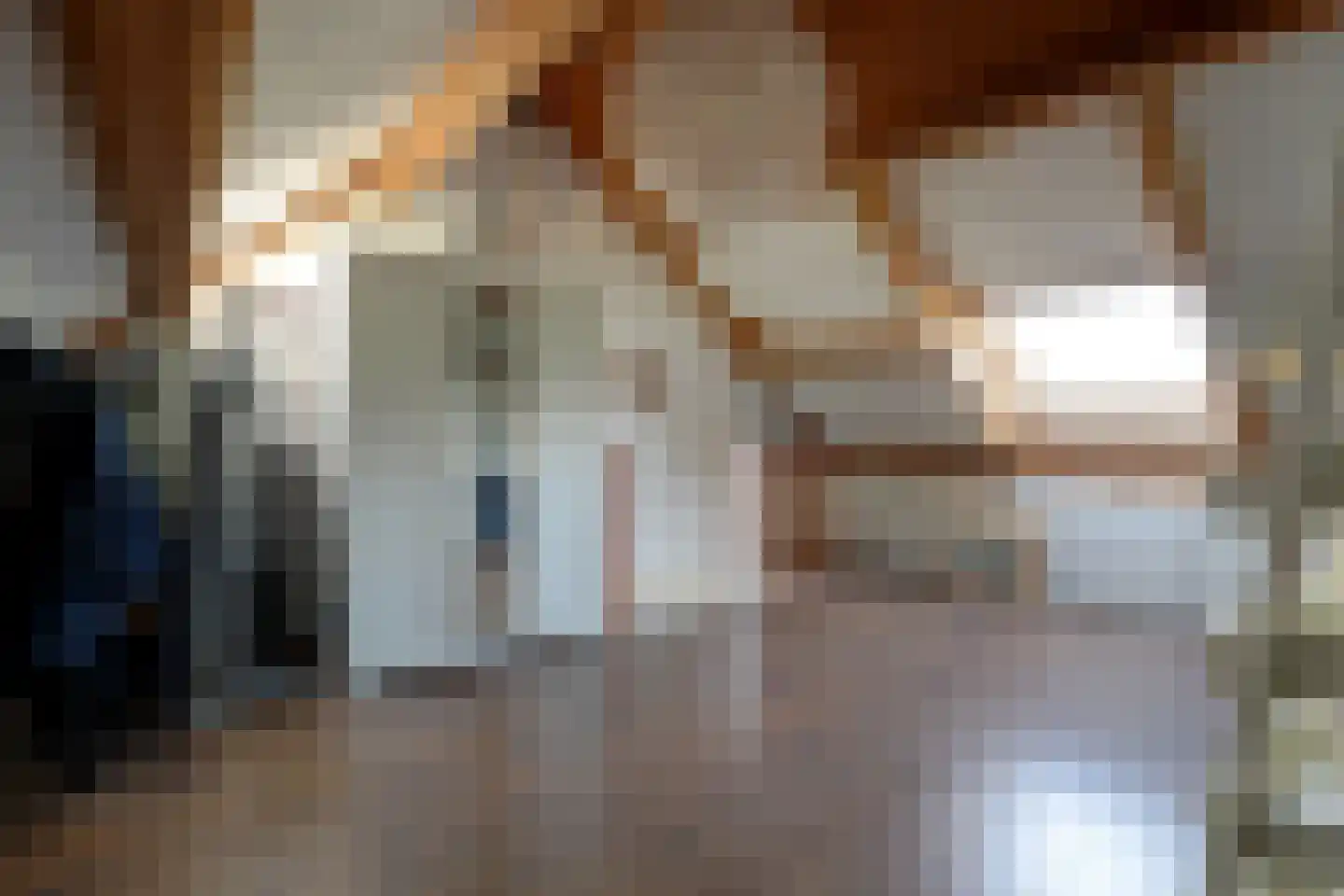 Poldermolen 3 Hoorn thumbnail 46