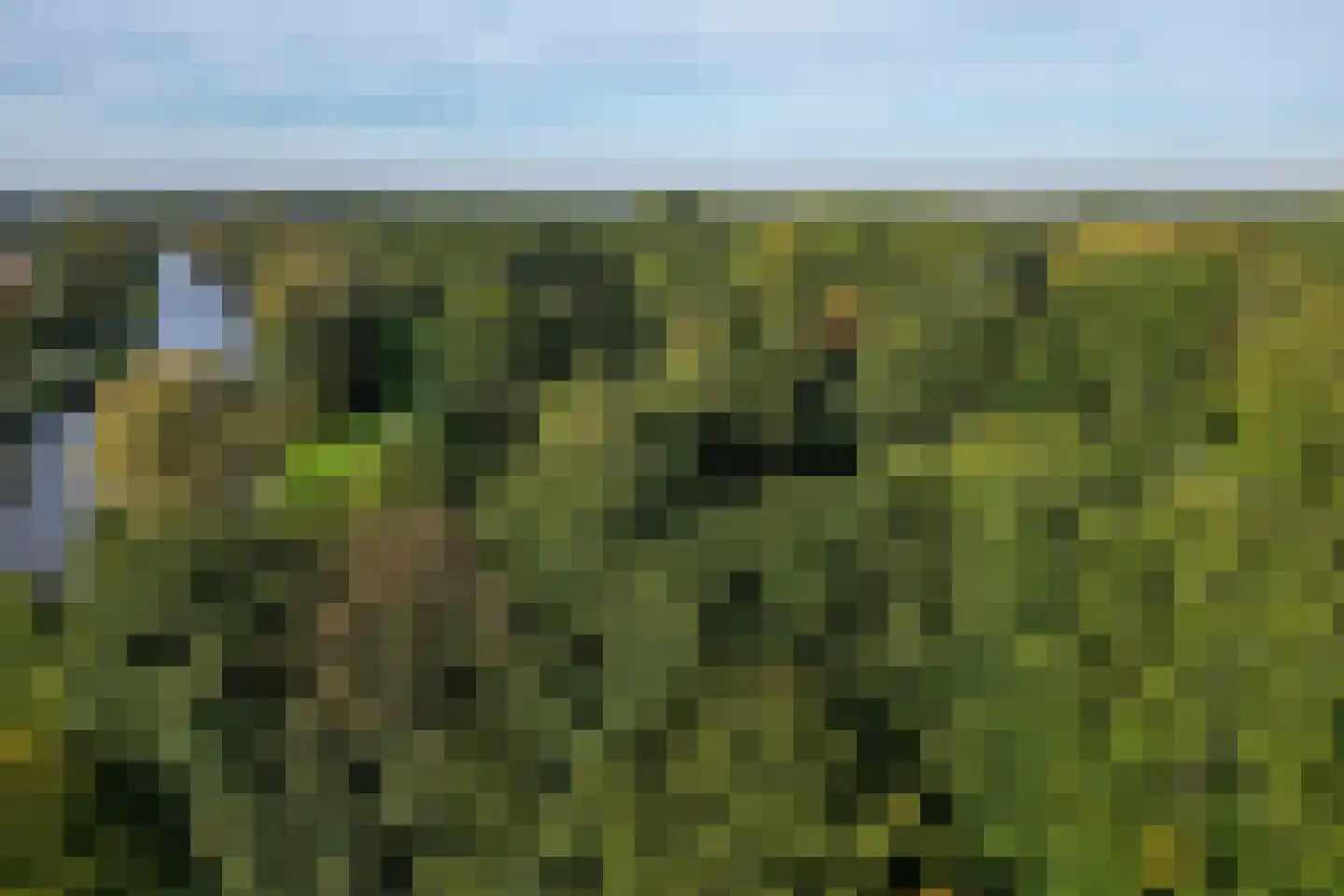 Poldermolen 3 Hoorn thumbnail 53