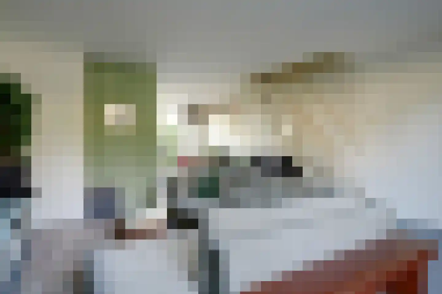 Poldermolen 3 Hoorn thumbnail 6