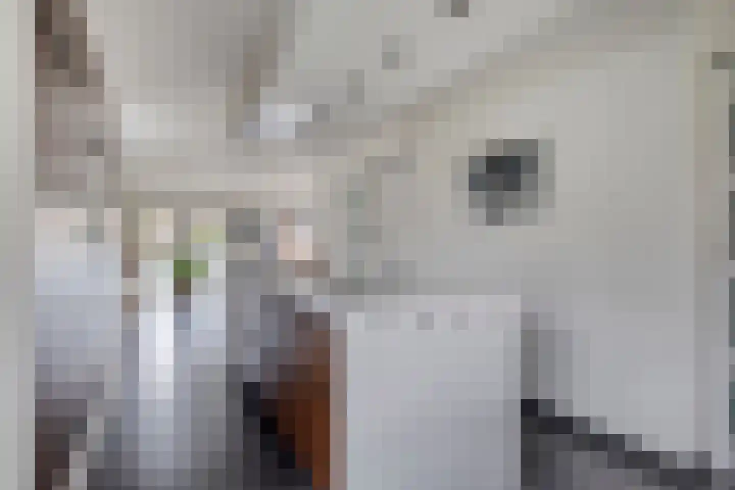 Poldermolen 3 Nieuw-Vossemeer thumbnail 13