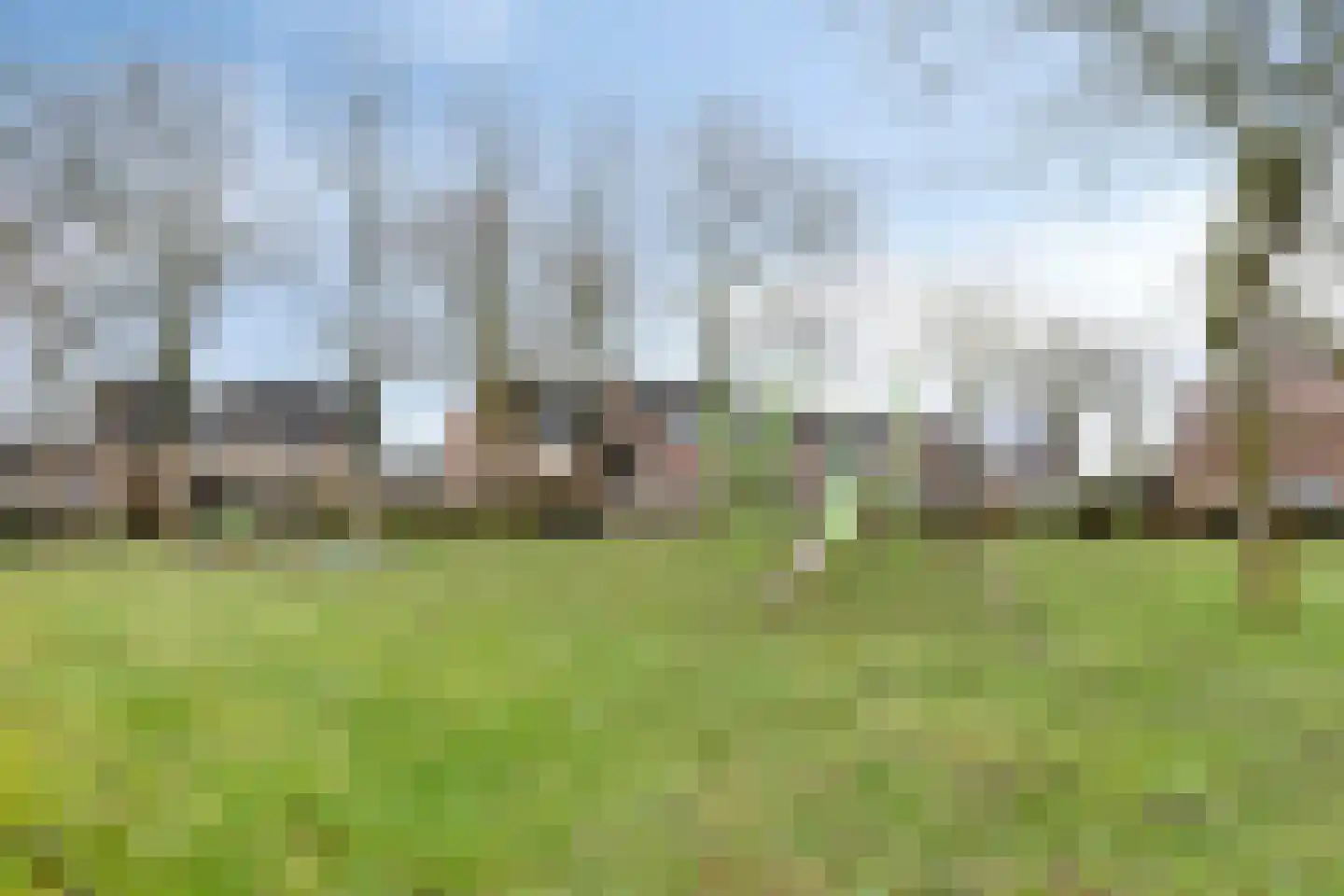 Poldermolen 3 Nieuw-Vossemeer thumbnail 39