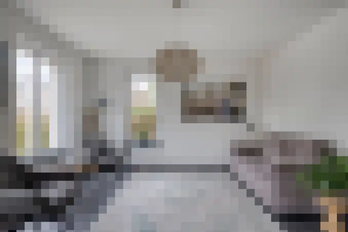 Poldermolen 3 Nieuw-Vossemeer thumbnail 9