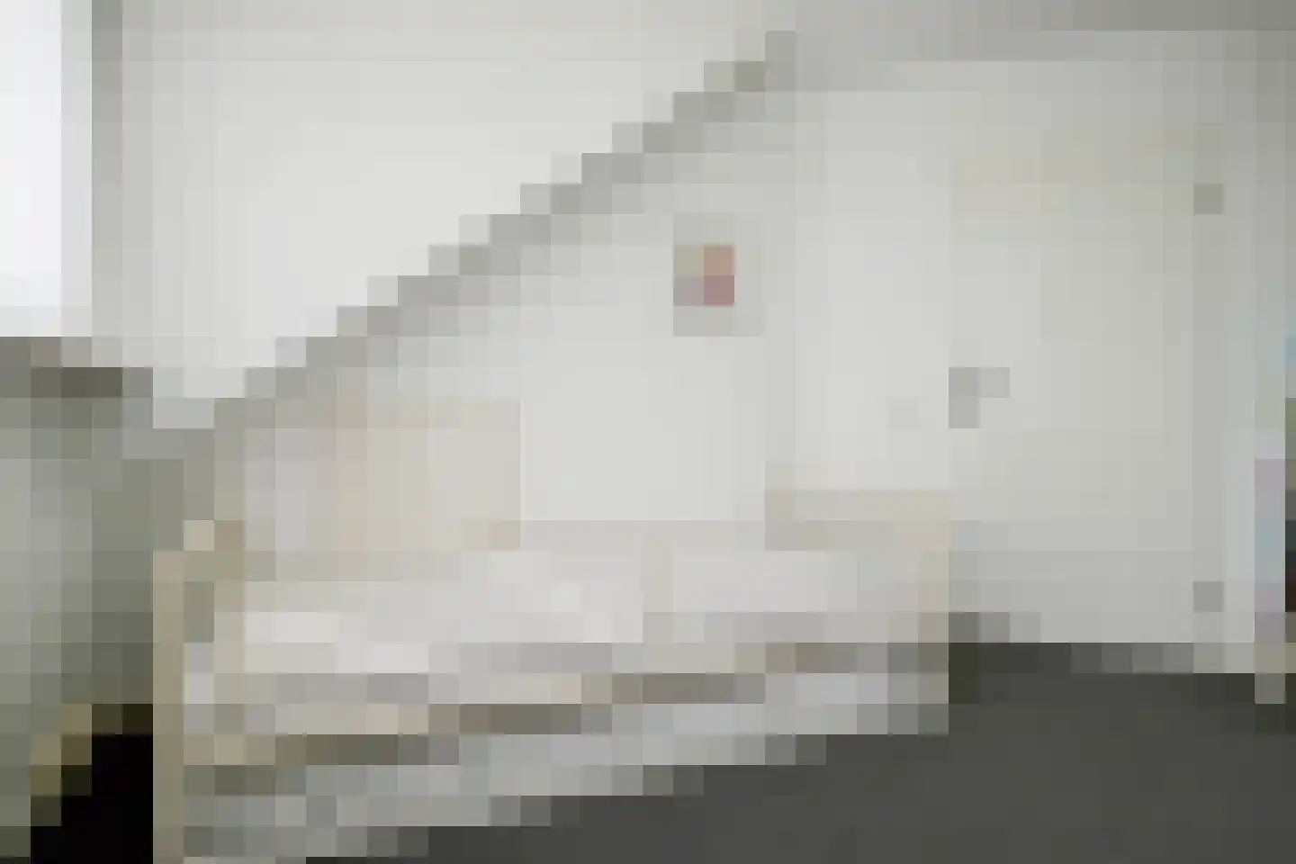 Poldermolen 32 Bergschenhoek thumbnail 27