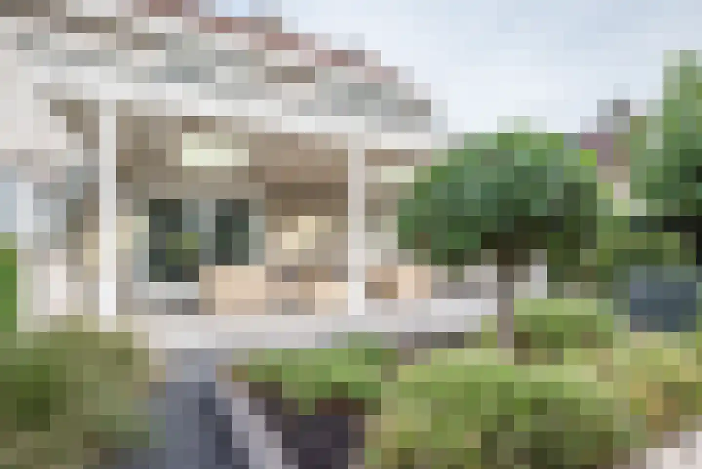 Poldermolen 32 Bergschenhoek thumbnail 46
