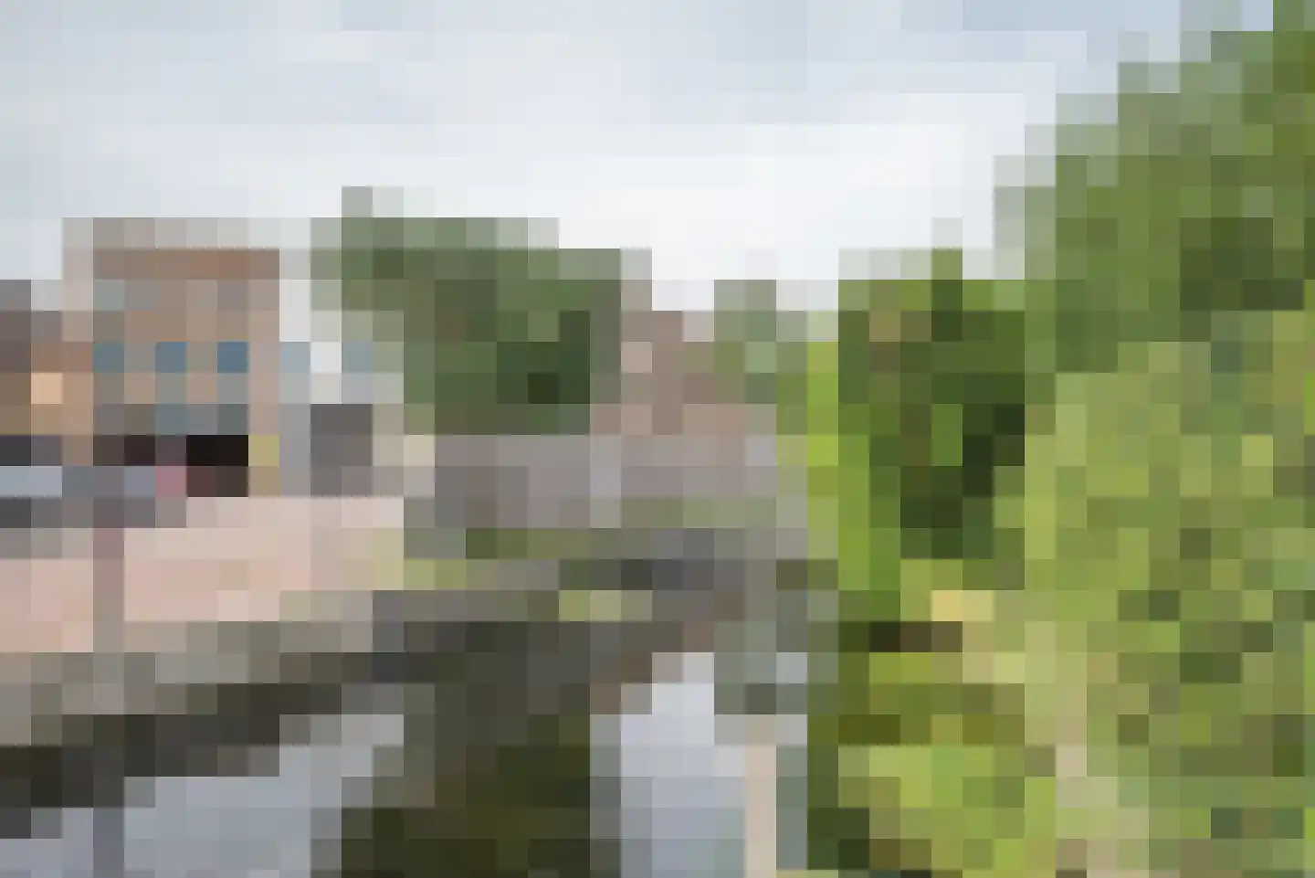 Poldermolen 32 Bergschenhoek thumbnail 53