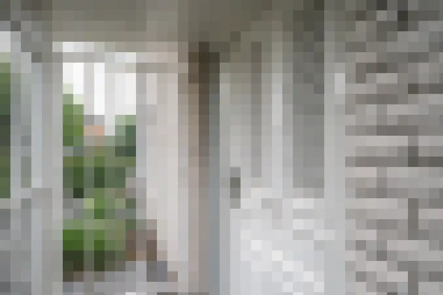 Poldermolen 32 Bergschenhoek thumbnail 54