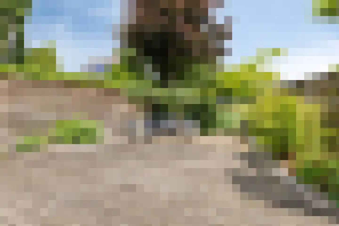 Poldermolen 33 Bergschenhoek thumbnail 22
