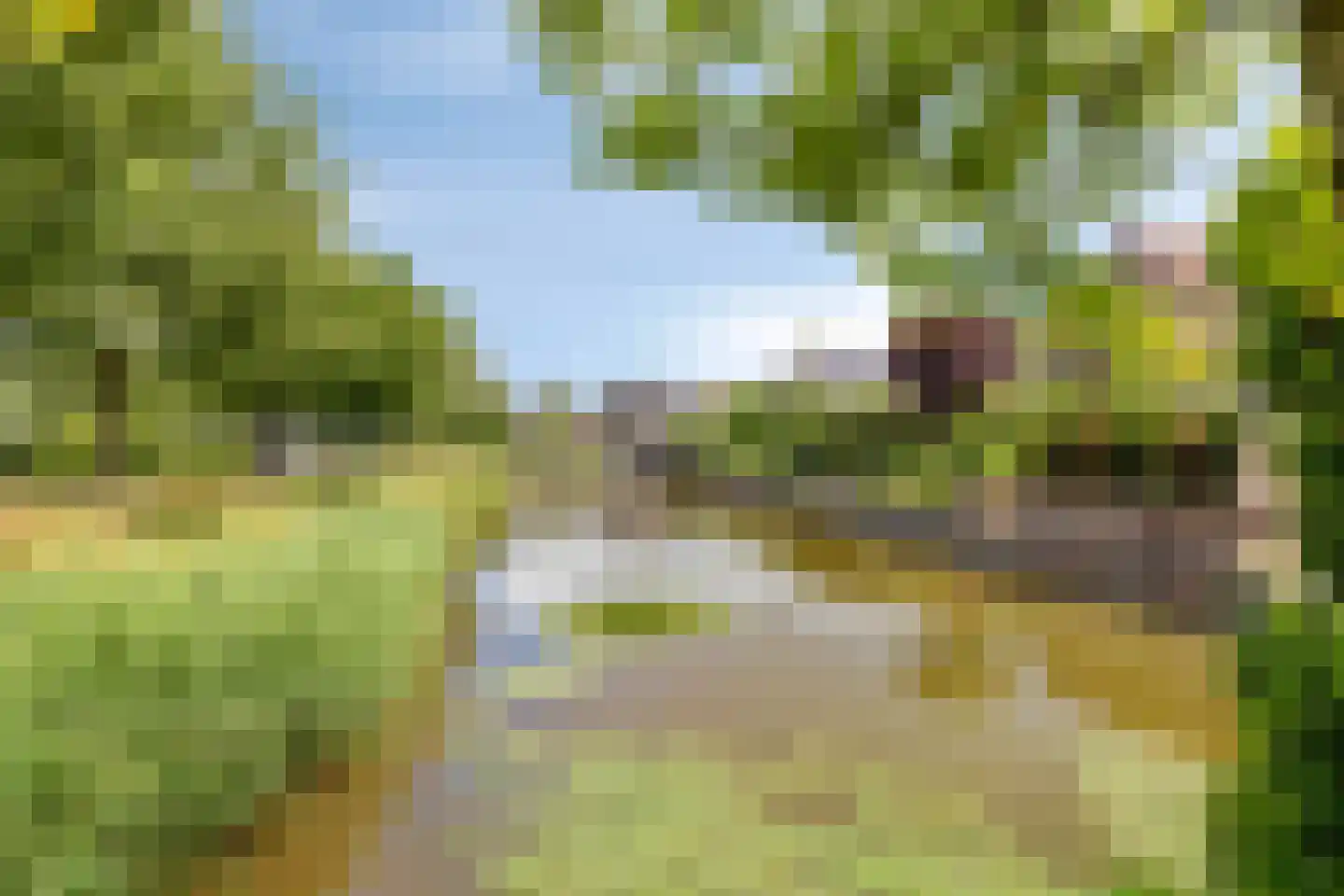 Poldermolen 33 Bergschenhoek thumbnail 23