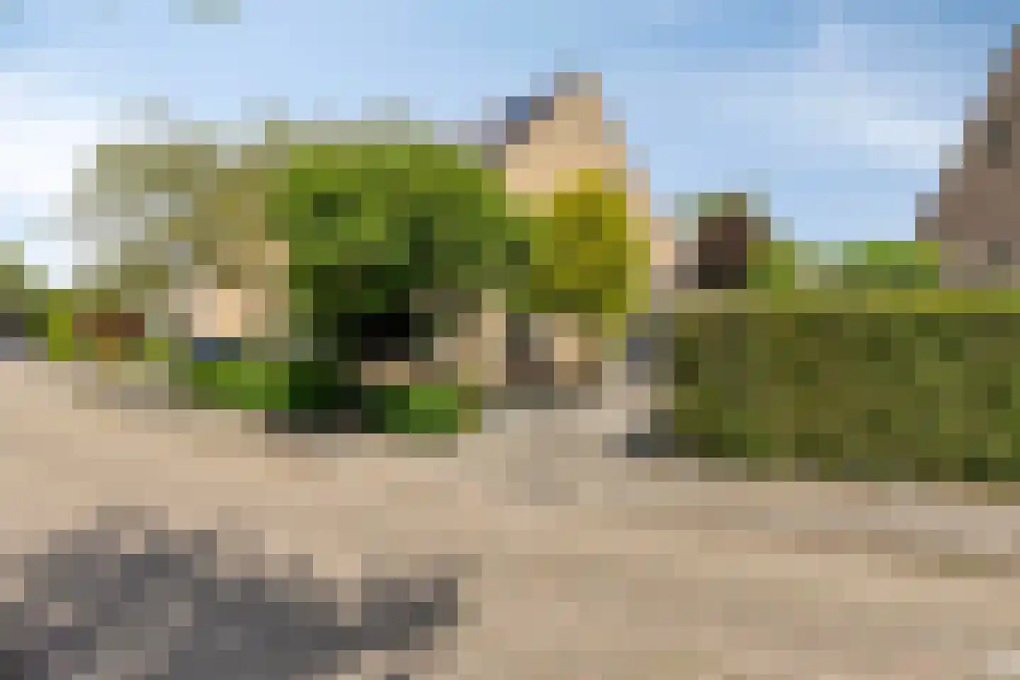 Poldermolen 33 Bergschenhoek thumbnail 43