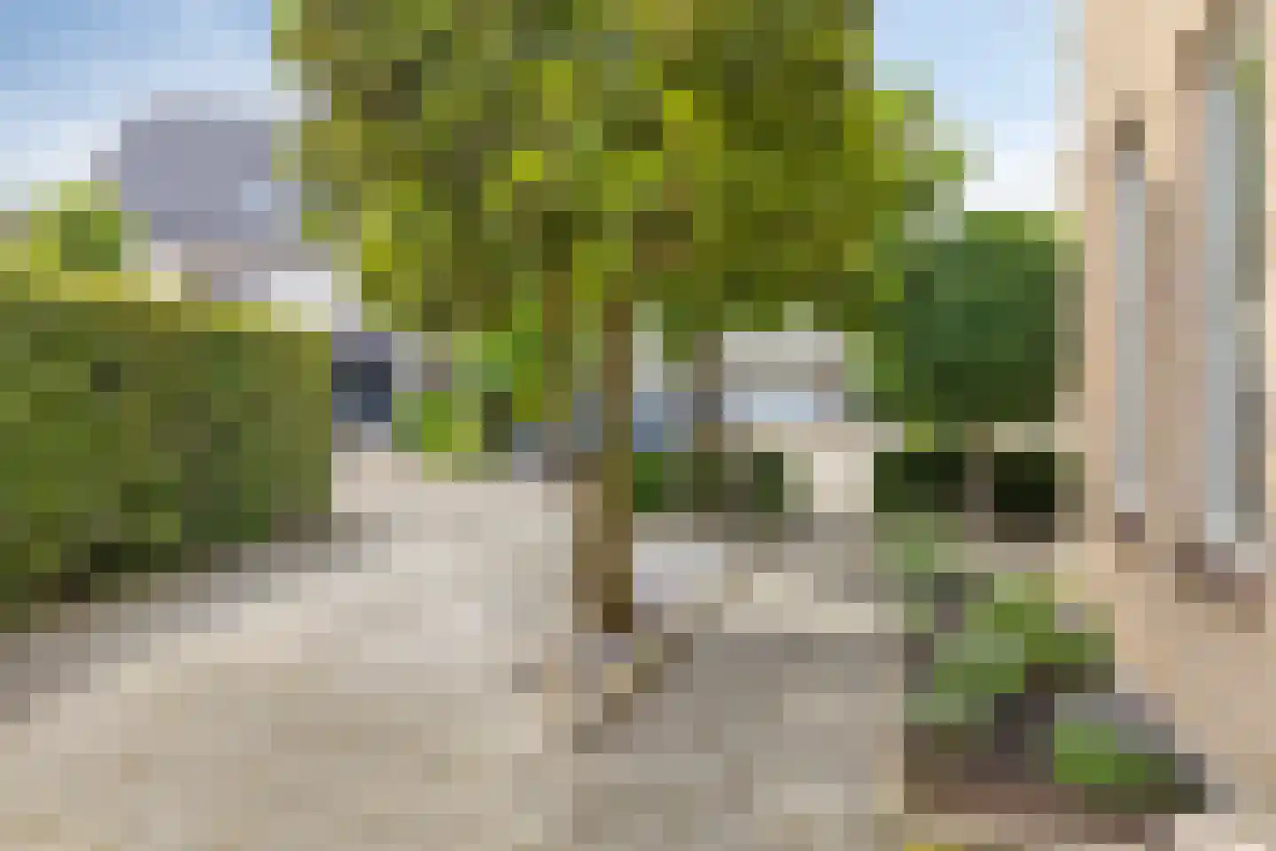 Poldermolen 33 Bergschenhoek thumbnail 44