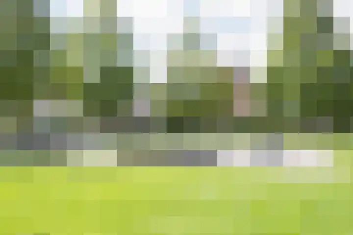 Poldermolen 33 Hoorn thumbnail 32