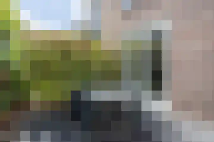 Poldermolen 33 Hoorn thumbnail 5