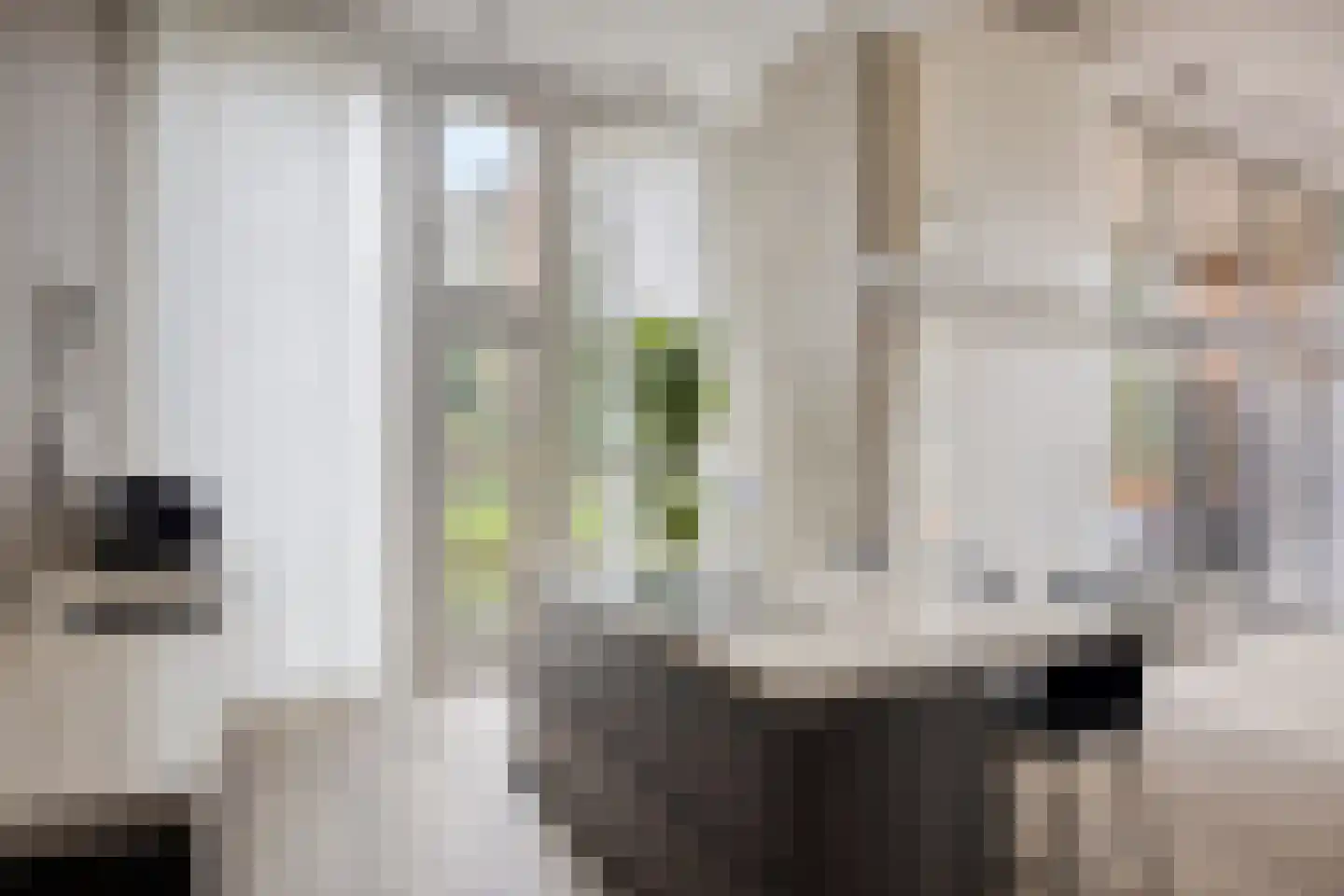 Poldermolen 34 Noordwijkerhout thumbnail 25
