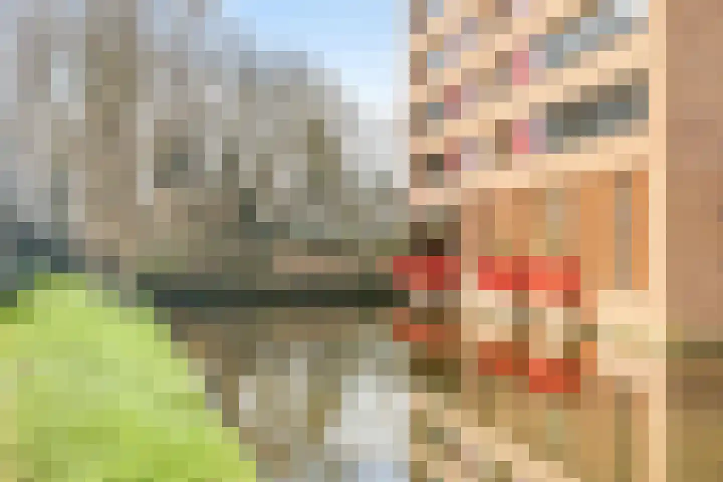 Poldermolen 34 Noordwijkerhout thumbnail 54