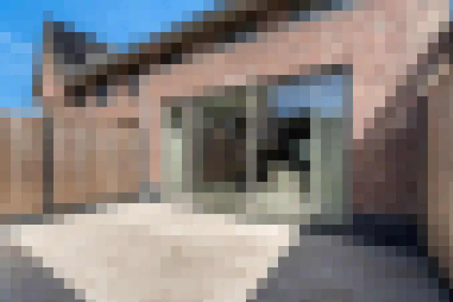 Poldermolen 35 Pijnacker thumbnail 25