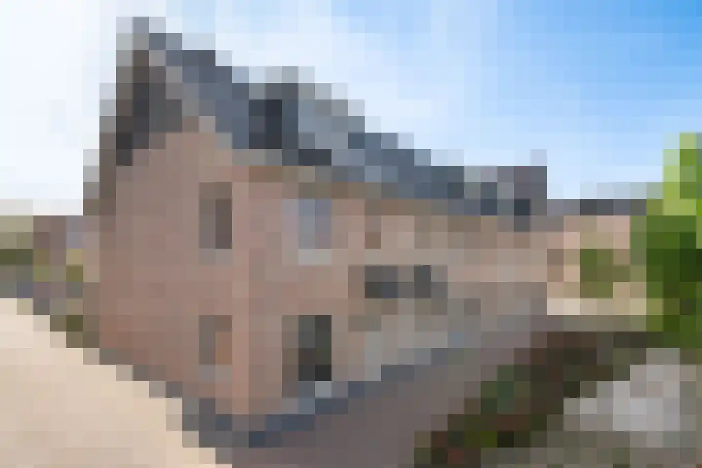 Poldermolen 35 Pijnacker thumbnail 27