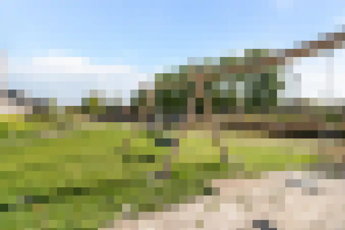 Poldermolen 35 Pijnacker thumbnail 28