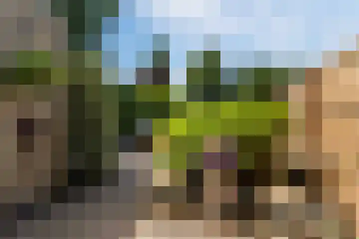 Poldermolen 39 Bergschenhoek thumbnail 33
