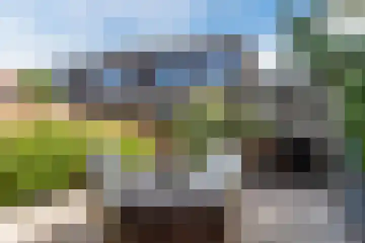 Poldermolen 39 Bergschenhoek thumbnail 36