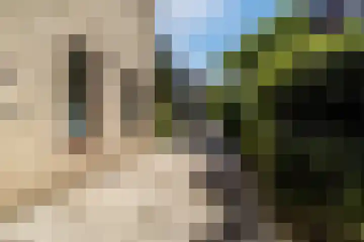 Poldermolen 39 Bergschenhoek thumbnail 43