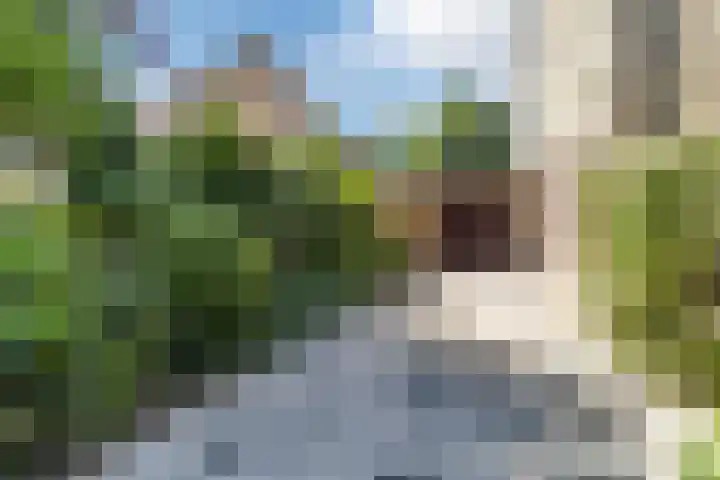 Poldermolen 39 Bergschenhoek thumbnail 44