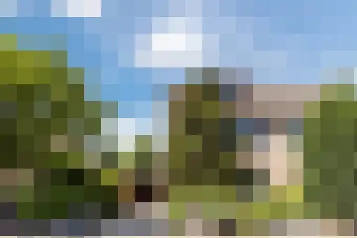 Poldermolen 39 Bergschenhoek thumbnail 45