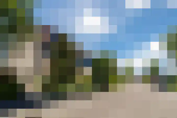 Poldermolen 39 Bergschenhoek thumbnail 46