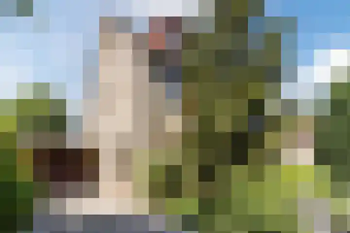 Poldermolen 39 Bergschenhoek thumbnail 47