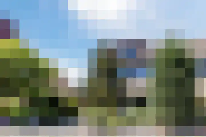 Poldermolen 39 Bergschenhoek thumbnail 48