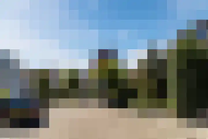 Poldermolen 39 Bergschenhoek thumbnail 49