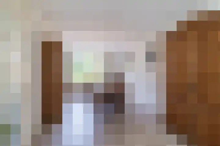 Poldermolen 39 Bergschenhoek thumbnail 6