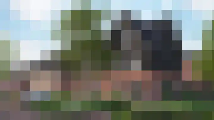 Poldermolen 45 in Pijnacker