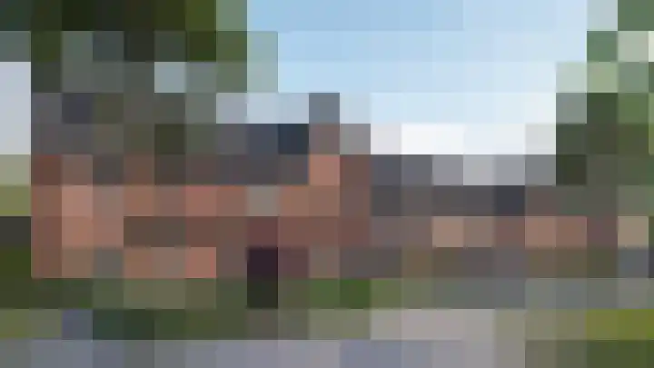 Poldermolen 45 Pijnacker thumbnail 4