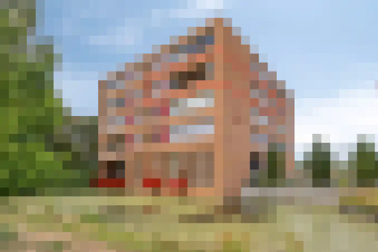 Poldermolen 46 in Noordwijkerhout