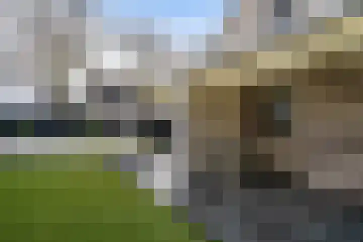 Poldermolen 47 Weert thumbnail 41