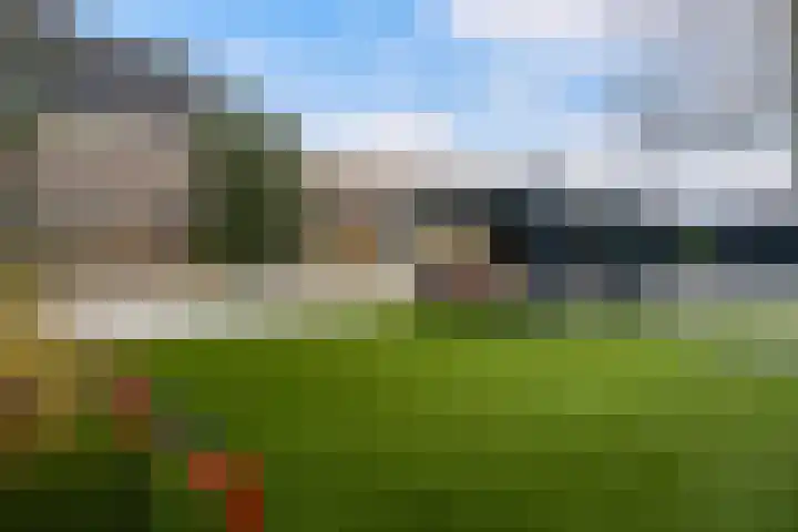 Poldermolen 47 Weert thumbnail 42