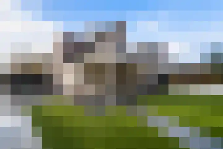 Poldermolen 47 Weert thumbnail 45