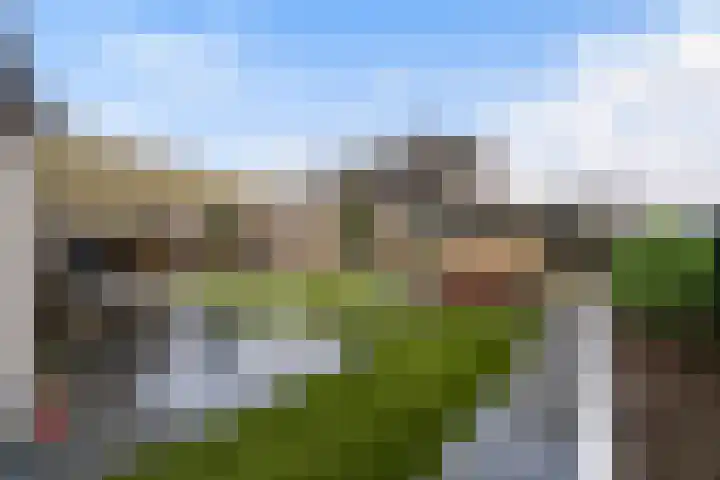 Poldermolen 47 Weert thumbnail 46