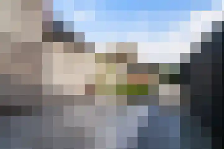 Poldermolen 47 Weert thumbnail 50