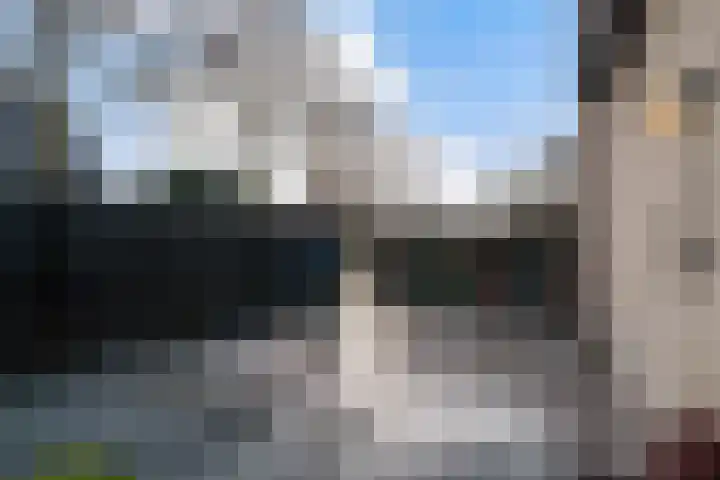 Poldermolen 47 Weert thumbnail 51
