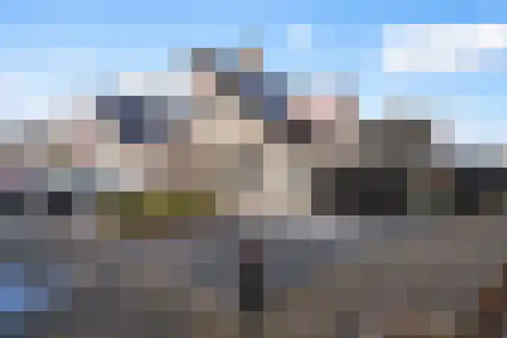 Poldermolen 47 Weert thumbnail 53