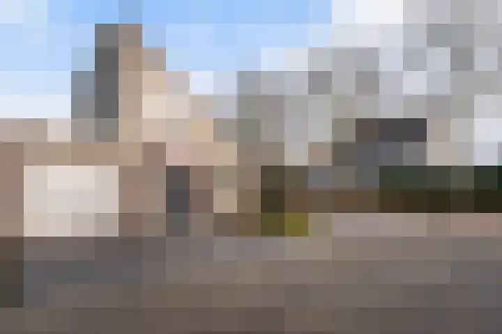 Poldermolen 47 Weert thumbnail 6
