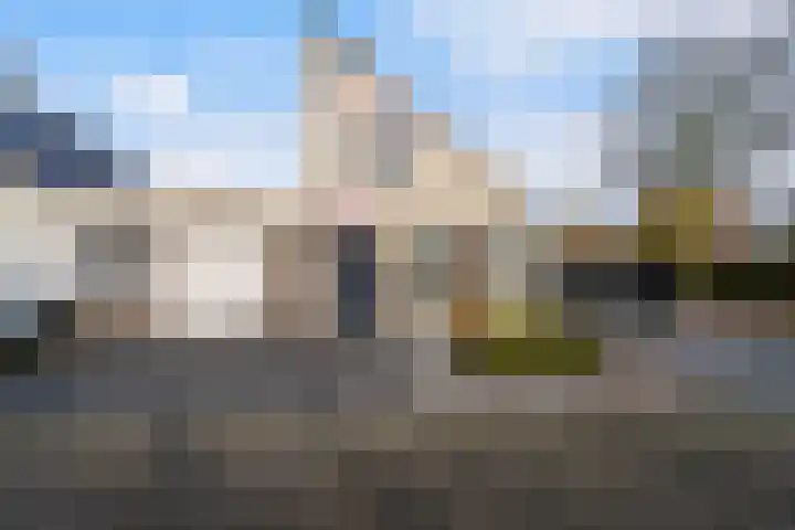 Poldermolen 47 Weert thumbnail 7