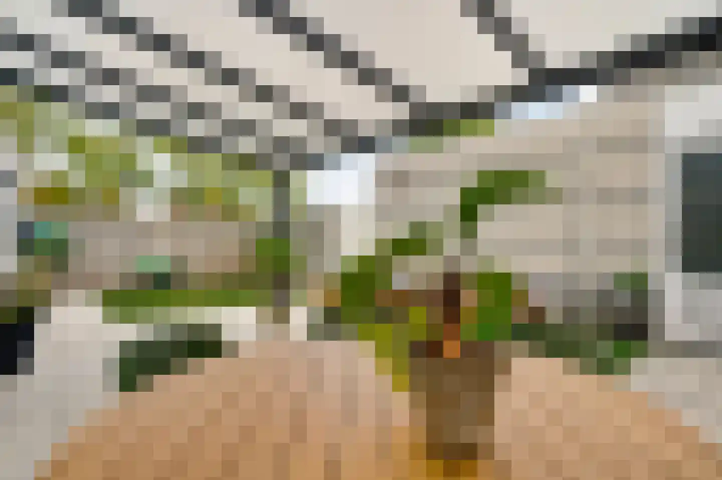Poldermolen 65 Weert thumbnail 54