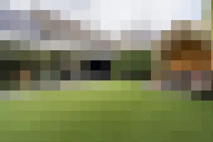 Poldermolen 67 Weert thumbnail 4